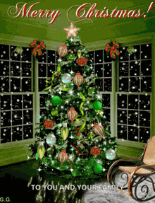 Merry Christmas Eve GIF