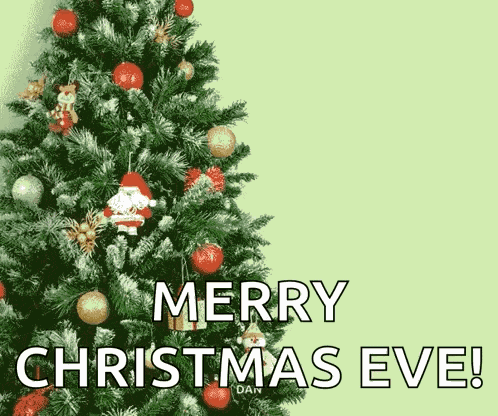 Merry Christmas Eve GIF