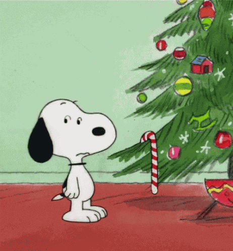 Merry Christmas Funny GIF