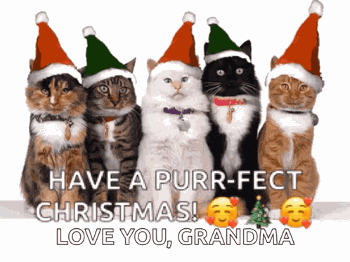 Merry Christmas Funny GIF