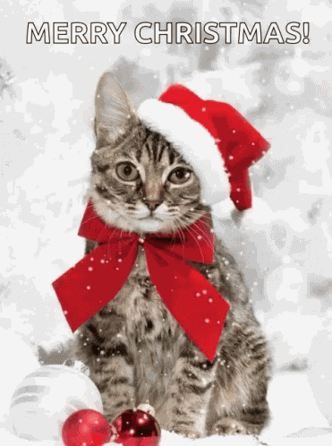 Merry Christmas GIF