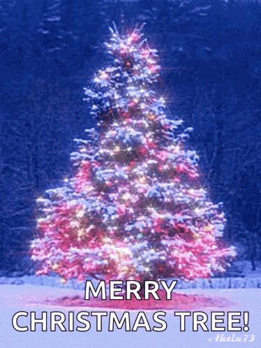 Merry Christmas GIF