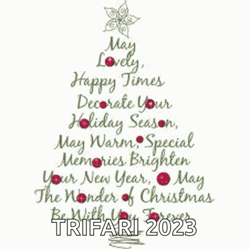 Merry Christmas Meme