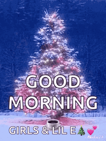Merry Christmas Seasons Greetings GIF