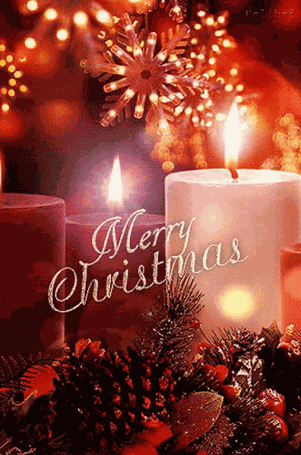 Merry Christmas GIF