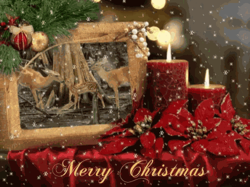 Merry Christmas The Season GIF