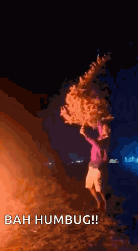 Merry Christmas Xmas GIF