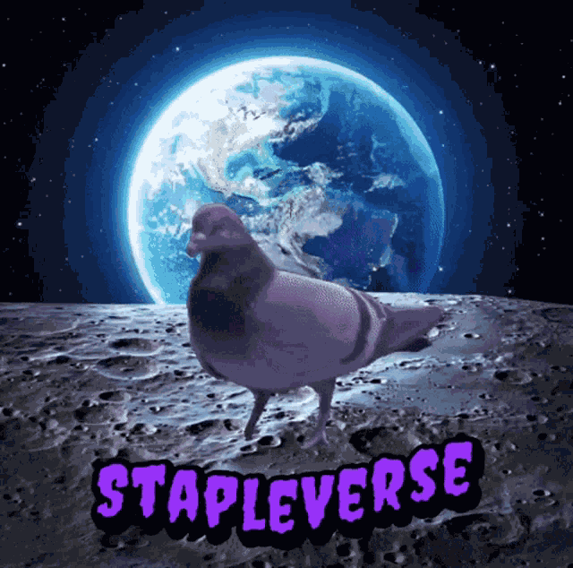 Metapigeon Staplepigeon GIF