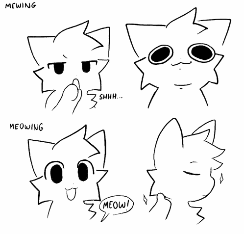 Mewing Meowing Meme