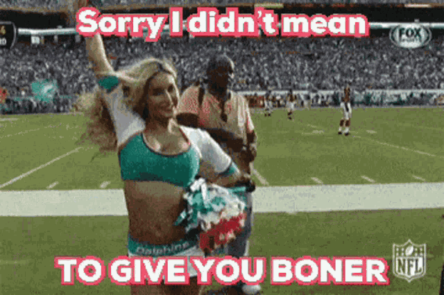 Miami Dolphins Cheerleader GIF