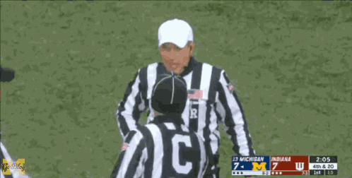 Michigan Wolverines GIF