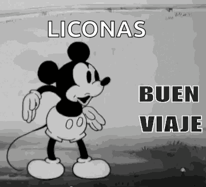 Mickey Buen Viaje GIF
