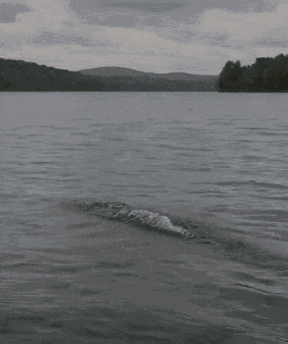 Middle Finger Flip Off GIF