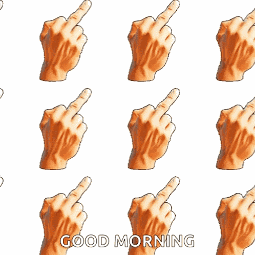 Middle Finger Middle Finger Gif GIF