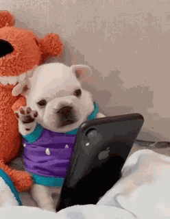 Midnightgif300 GIF