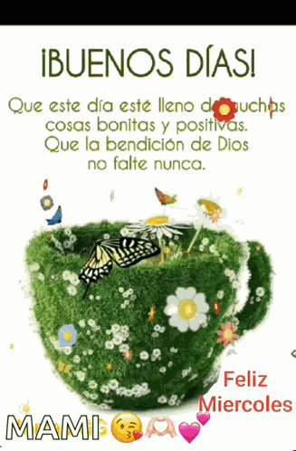Miercoles Happy Wednesday GIF