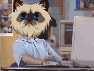 Miggles Thumbs Up GIF