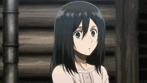 Mikasa Ackerman Shingeki No Kyojin GIF