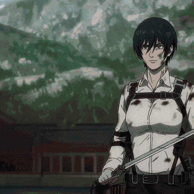 Mikasa Mikasa Ackerman GIF