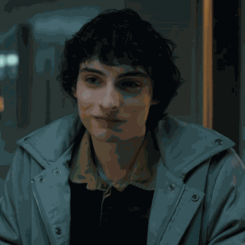 Mike Wheeler Mike Wheeler Season 5 GIF