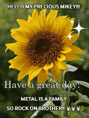 Mikey I Love You Mikey GIF