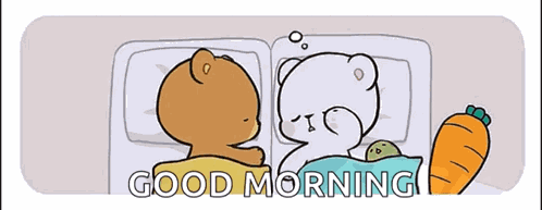 Milk And Mocha Milkbear GIF