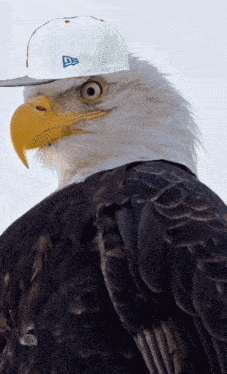 Milli Meme Pretty Lights Music GIF