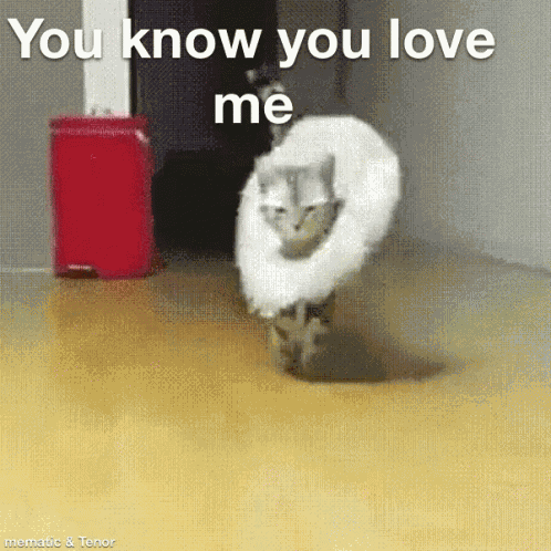 Mimosa Good GIF