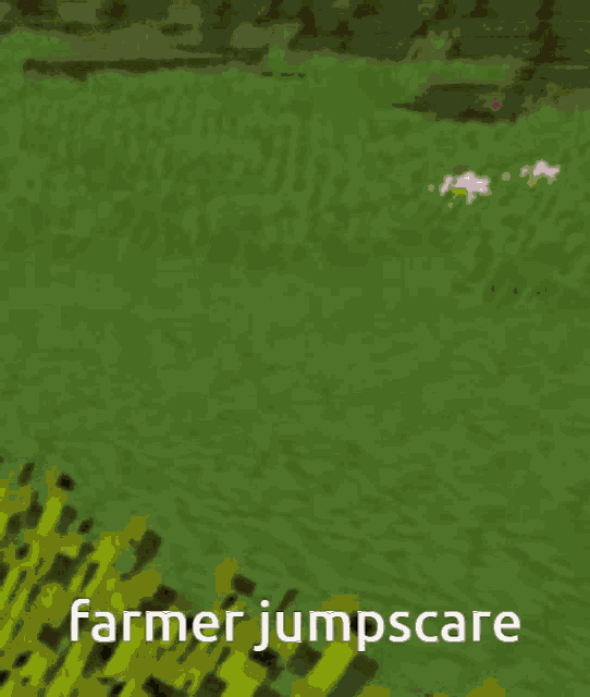 Minecraft Jumpscare GIF