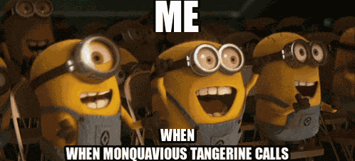 Minions Despicable Me GIF
