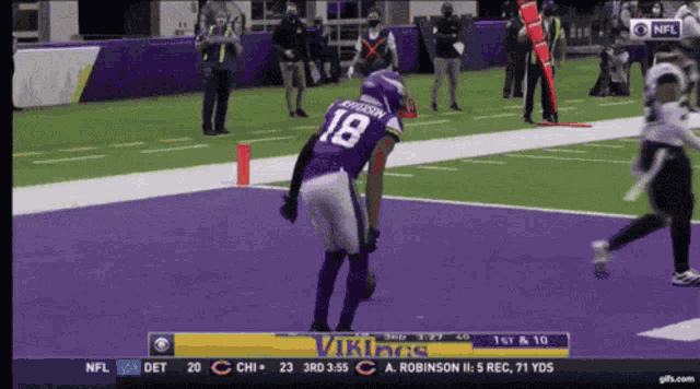 Minnesota Vikings GIF