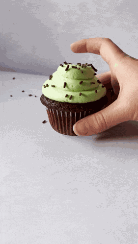 Mint Chocolate Cupcakes Cupcakes GIF