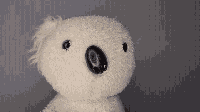 Mirsada Koala GIF