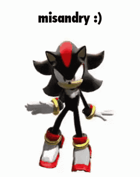 Misandry Shadow The Hedgehog GIF