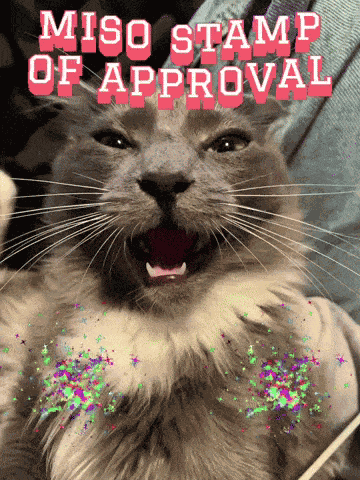 Miso Stamp Of Approval GIF
