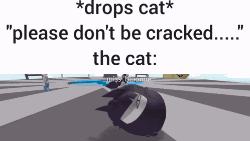 Miss Bloomie Miss Bloomie Cat GIF