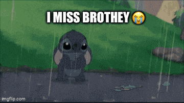 Miss Brother GIF