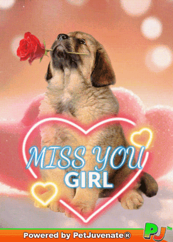 Miss You Girl Boof GIF