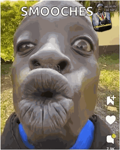Miss You Kiss GIF