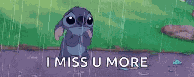 Miss You Miss You More GIF