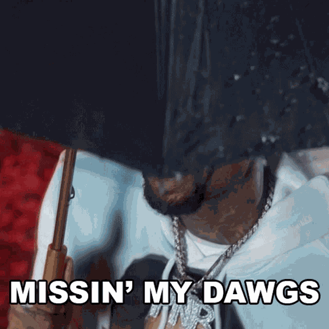 Missin My Dawgs Pnb Rock GIF
