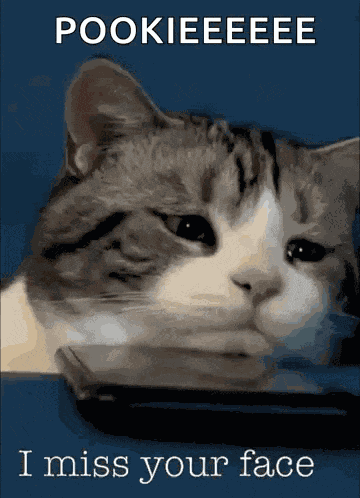 Missing You I Miss You GIF