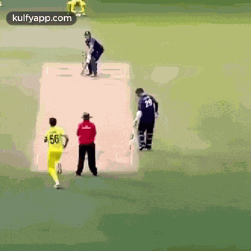 Mitchell Starc Sparkling Yorkers.Gif GIF