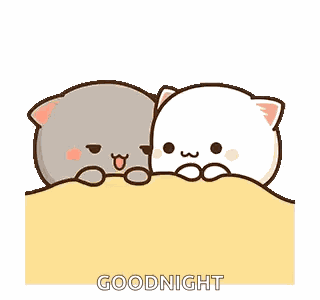 Mochi Cat Adult GIF