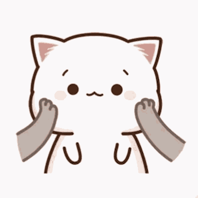 Mochi Cat GIF