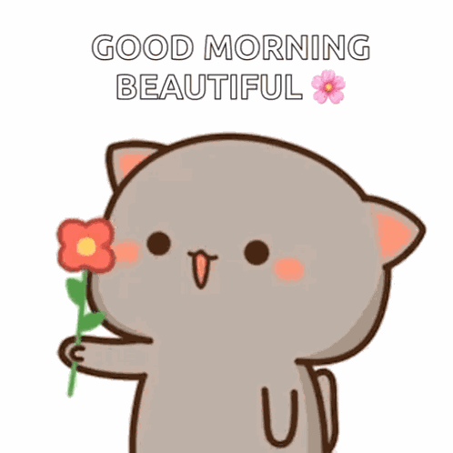 Mochi Cat GIF