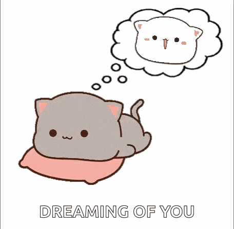 Mochi Cat Thinking Of You GIF