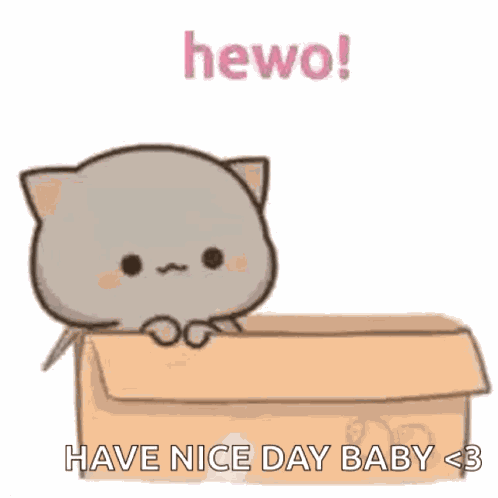 Mochi Mochi Peach Cat Box GIF