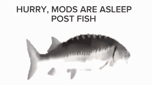 Mods Are Asleep Fish GIF