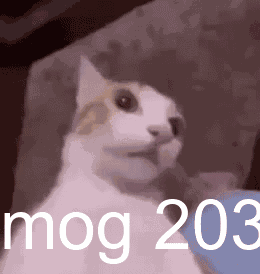 Mog 203 Suprised Cat GIF